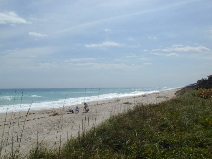 fla056.jpg, 38680 bytes, 3/9/04