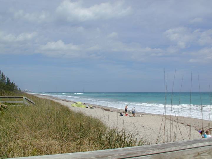 fla057.jpg, 38991 bytes, 3/9/04