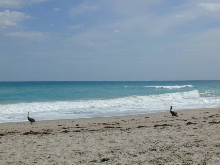 fla059.jpg, 36961 bytes, 3/9/04