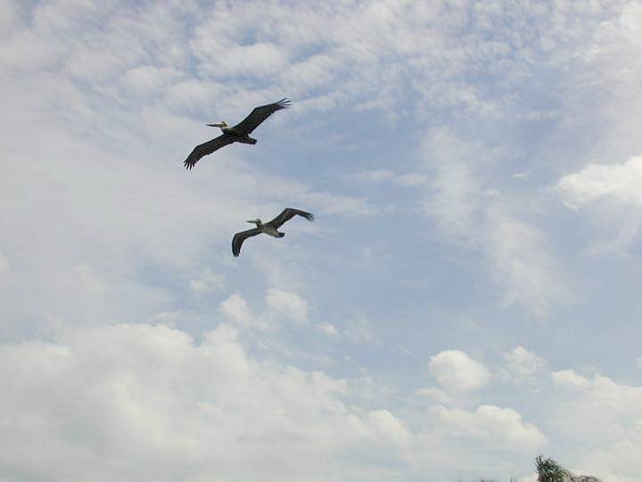 fla064.jpg, 20591 bytes, 3/13/04