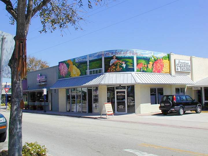 fla072.jpg, 57781 bytes, 3/13/04