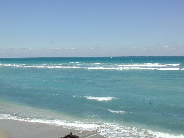 fla077.jpg, 28402 bytes, 3/10/04