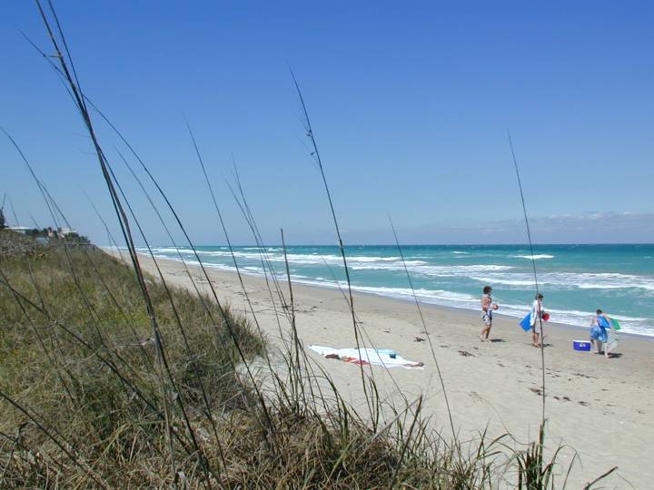 fla090.jpg, 52556 bytes, 3/10/04