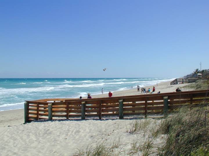 fla091.jpg, 42693 bytes, 3/10/04