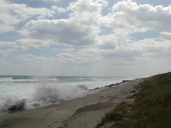 fla115.jpg, 33751 bytes, 3/13/04