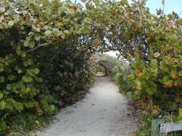 fla117.jpg, 72465 bytes, 3/13/04