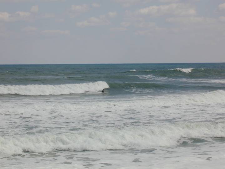 fla118.jpg, 31375 bytes, 3/11/04